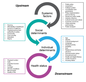 Figure 1.Upstream and downstream factors that impact on falls among community-dwelling older adults