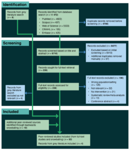 Preferred Reporting Items for Systematic Reviews and Meta-Analyses (PRISMA) flow diagram